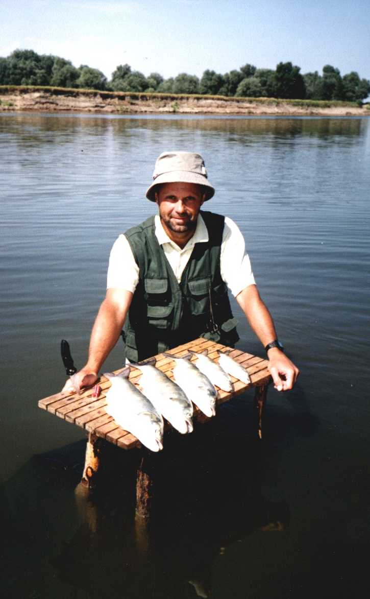 ������ �� �����