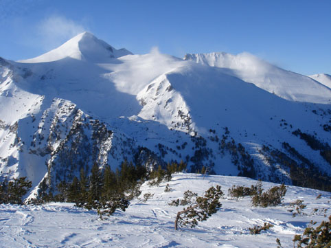 ���� ��� ������