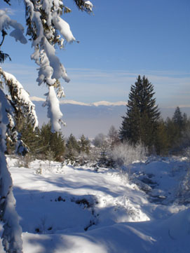 ������ ����� ������