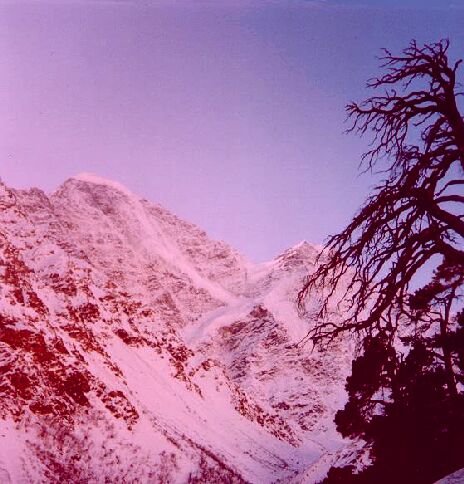 ����������