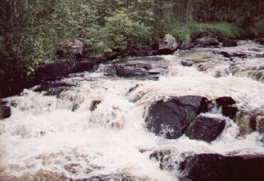 ���� (��� ������?)