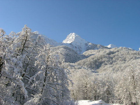 ������� ������