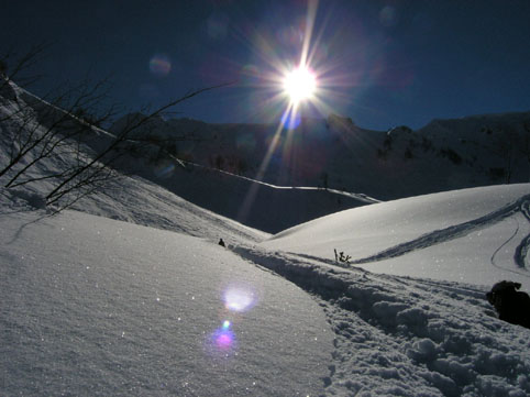 ������� ������