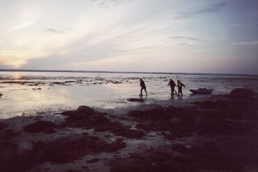 ������ �����