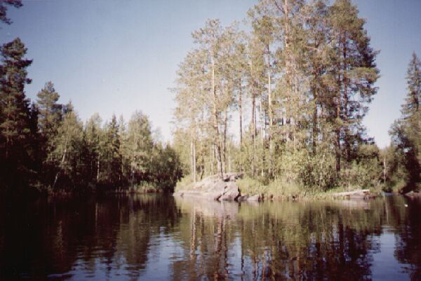 ���� ����������� ���